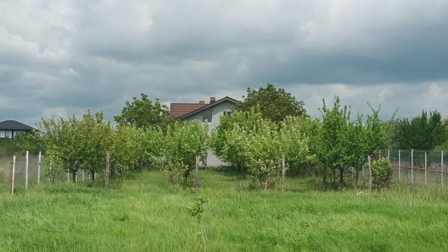 Moara Vlasiei , Casa cu teren 4250 m2