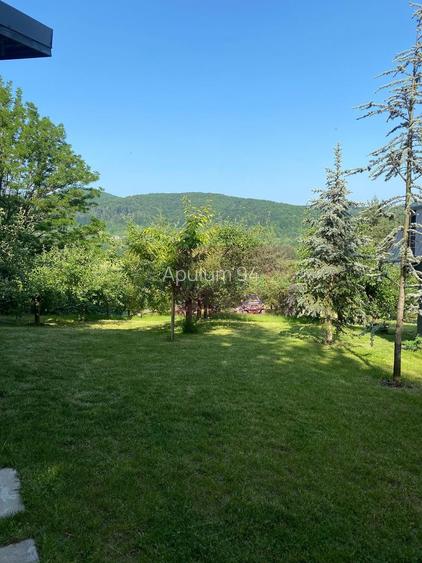 Cabane A frame + Teren 6000 mp |  Proprietate deosebita, NOU - 10
