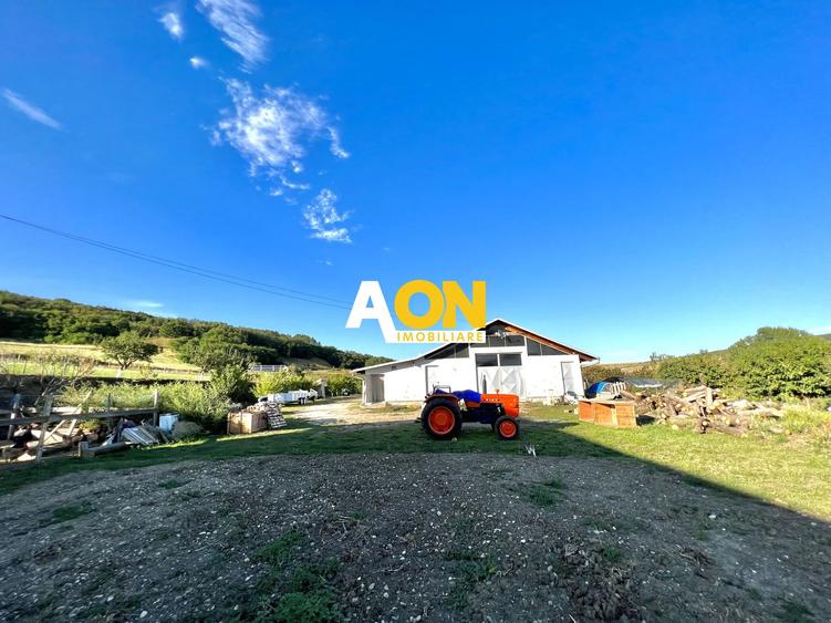 Ferma de vanzare cu 550MP utili si 27.500MP teren la asfalt