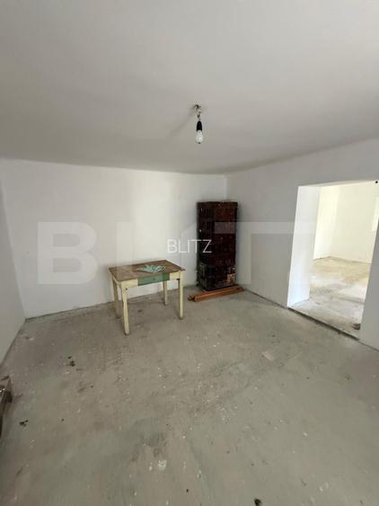 Casa individuala, 60 mp, teren 4459 mp, zona Izvorul Crisului - 8