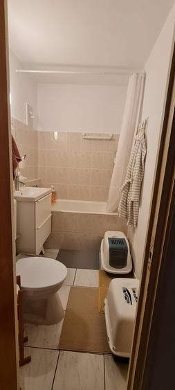 Apartament 2 camere Titan - Auchan Titan - Jean Steriadi