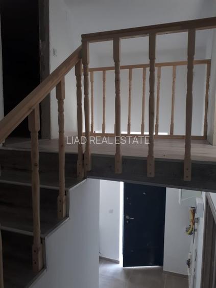 Apartament 2 camere Calea Calarasilor cu gradina - 7