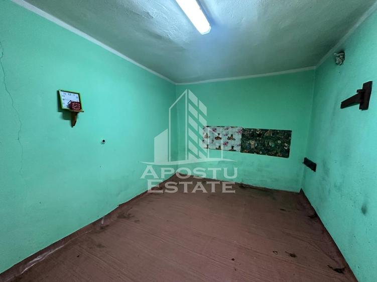 Casa cu teren de vanzare in Zimandu Nou