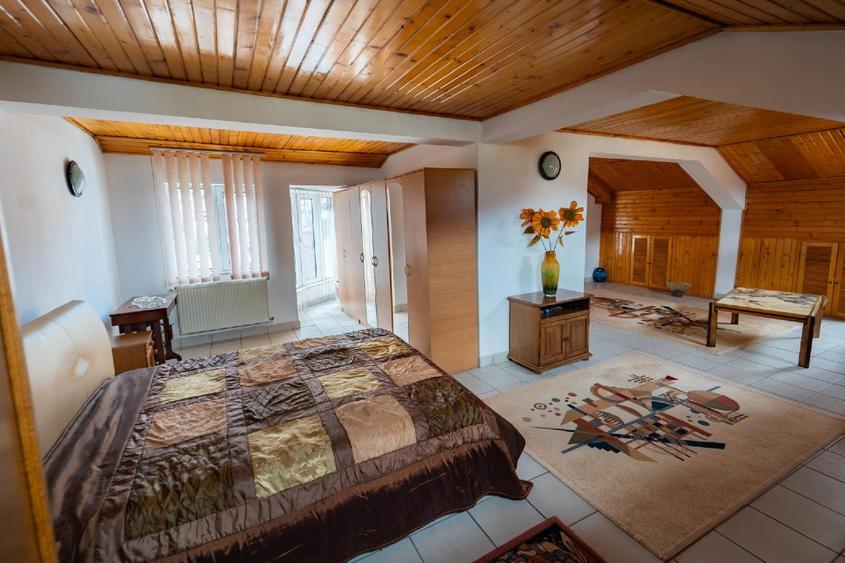 Proprietar vand vila ultracentrala in stil neoromanesc