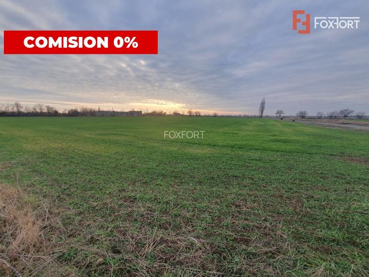 COMISION 0% Teren intravilan industrial 28.395 mp la sosea in Sag  - 6