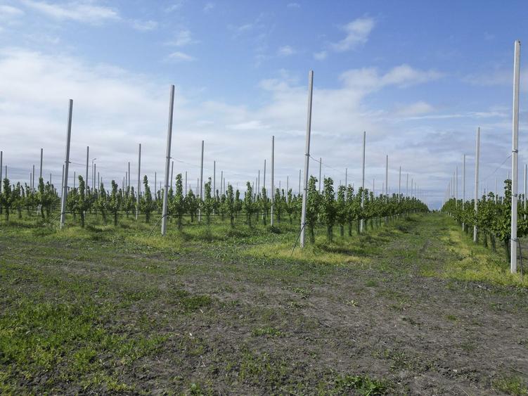 Platformă agro-industrială cu potențial de scalare