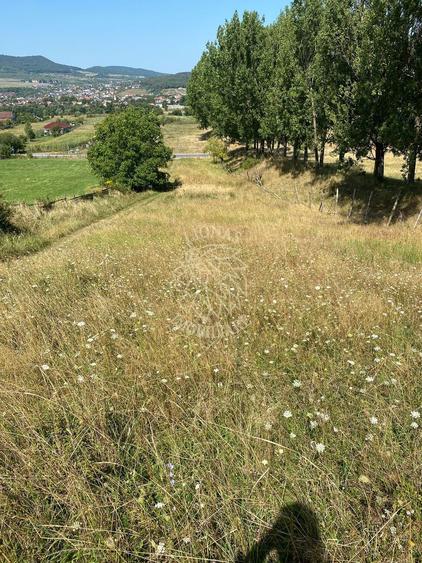 Teren intravilan 2600 mp - pretabil casa/investitie-Zona Aerodrom