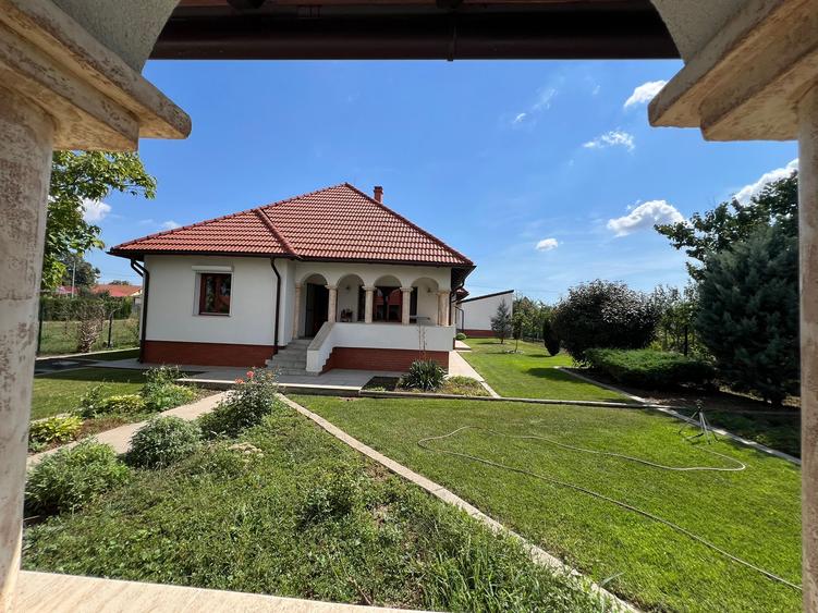 Casa 'din vis' frumoasa ,cocheta, la sol, caramida, 2014, 980 mp teren, M.Kogaln