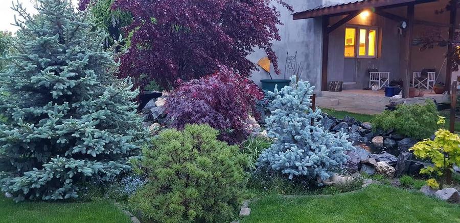Varasti: Vila individuala cu o curte de 1000 mp !