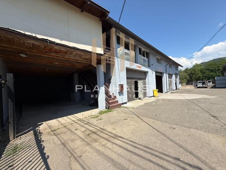 Hală industrială de vânzare sau închiriere Tăuții de Sus | 220 mp | Teren