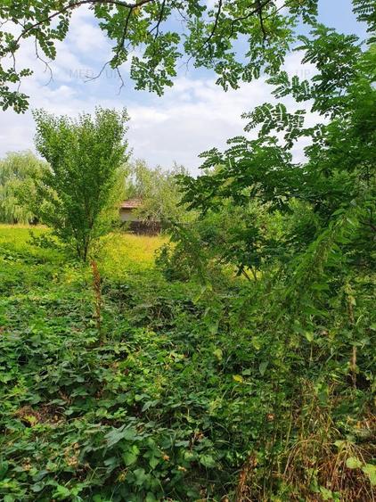 PARADISUL VERDE- teren in suprafata de 1 326 mp,. utilitati