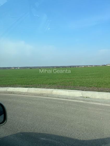 Vanzare teren Buftea | Strada Milano | Intravilan - 4