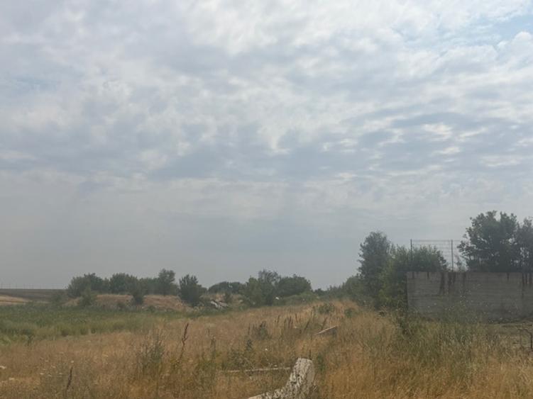 Teren extravilan 5000 mp, zona Pielesti