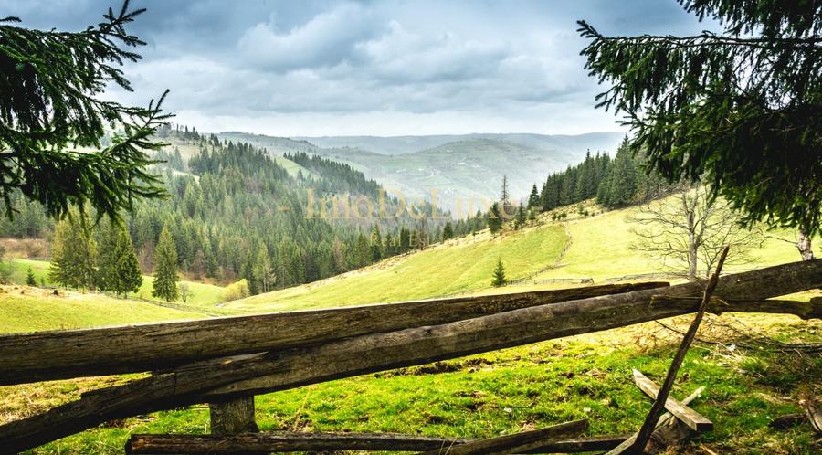 Teren extravilan, 3.4 hectare, priveliste, padure, utilitati, in Marisel