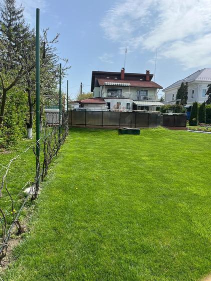 Vanzare vila situata pe malul Lacului Snagov, gradina si piscina, teren 1520 mp,