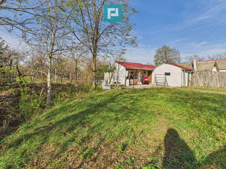 Casuță cu priveliște panoramică spre Cetatea Șiria - 23