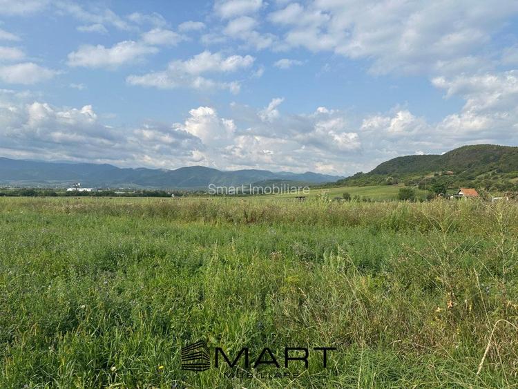 Teren extravilan 4800mp acces auto, Cristian - 3