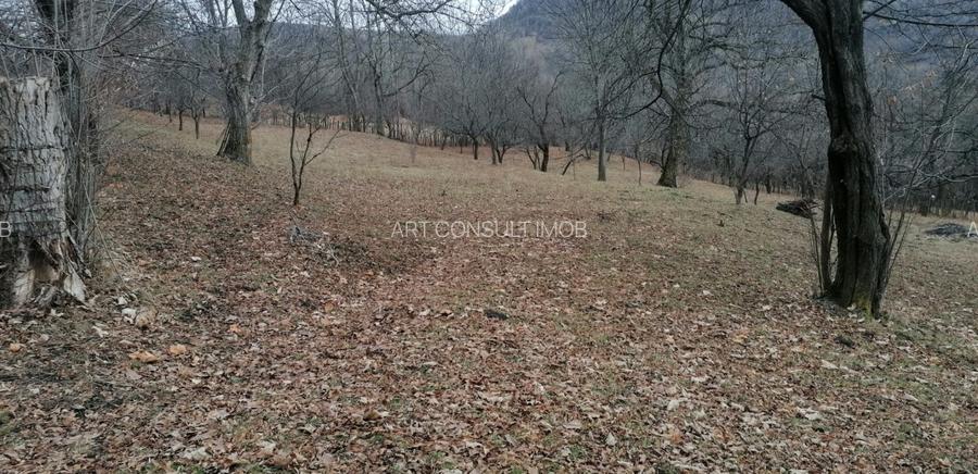 Teren | Comarnic | 2700mp | Intravilan - 3