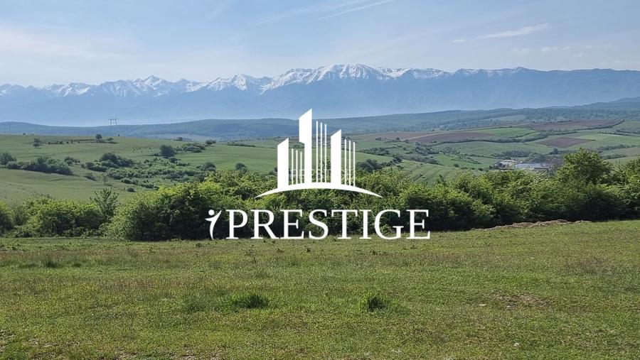 TEREN  EXTRAVILAN 2000 MP ÎN DAIA - BAVARIA | DEALUL 2 | DOAR 15€/MP - 14