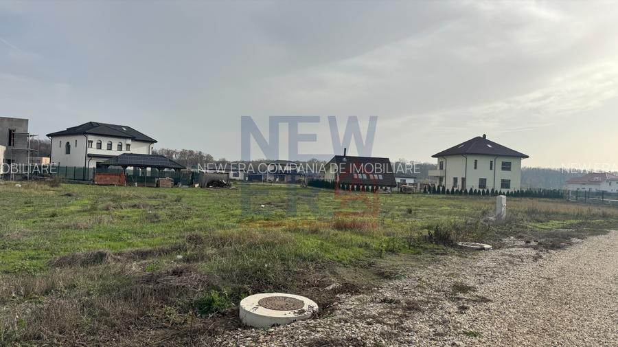 Teren 589 mp  - Eden Forest Gulia / Tărtășești - ideal casa sau investiție - 15