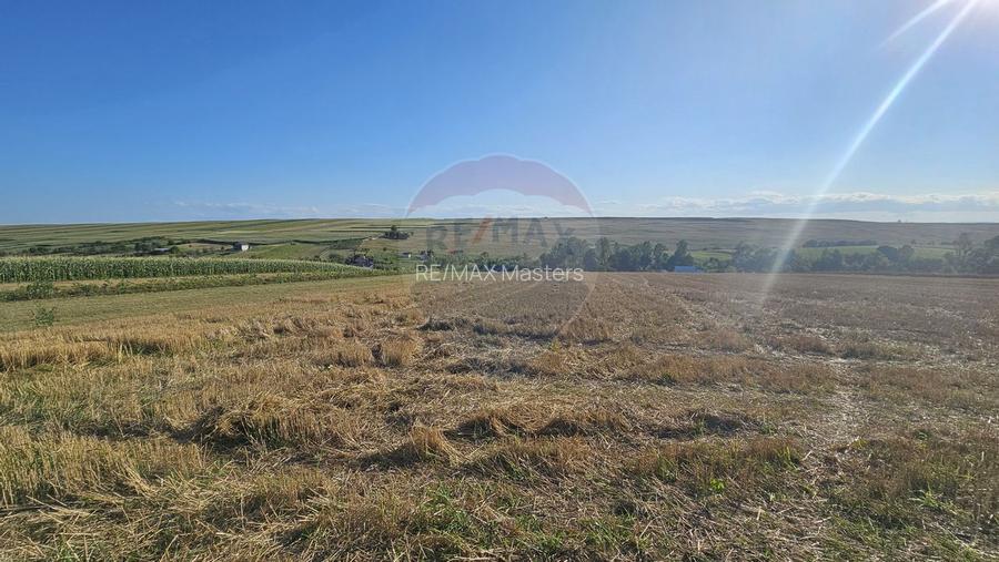 Teren intravilan, 7500 mp in Moara Carp / Strada Eternitatii-Suceava - 7