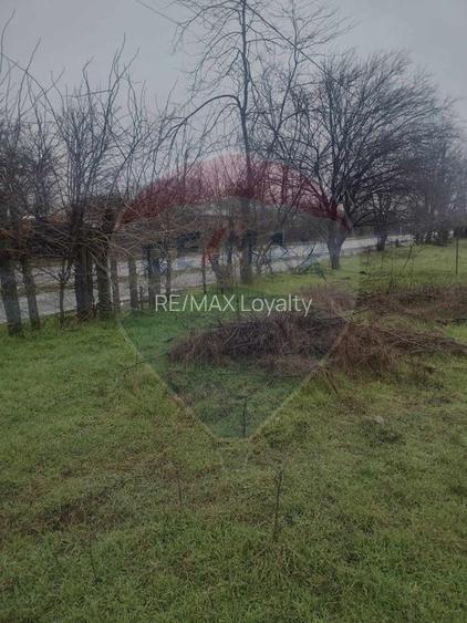 De vanzare teren intravilan la 100km de Bucuresti - 13