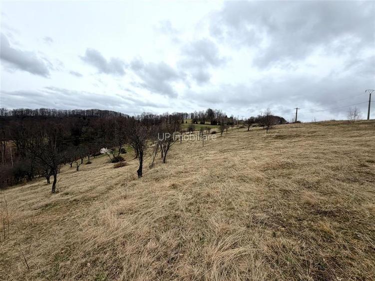 TEREN 34.000 MP | SERANI BIHOR - 6