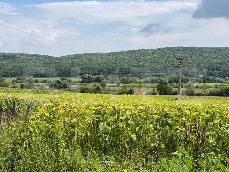 Casa batraneasca cu 6000 mp teren Schitul Duca - 2