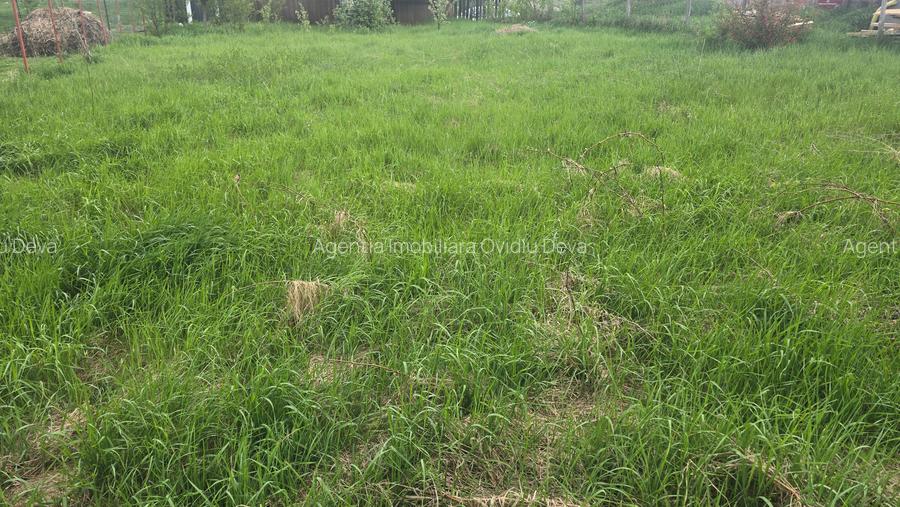 Vand teren intravilan in Zavoi partea de jos situat pe str. Sadoveanu, - 4