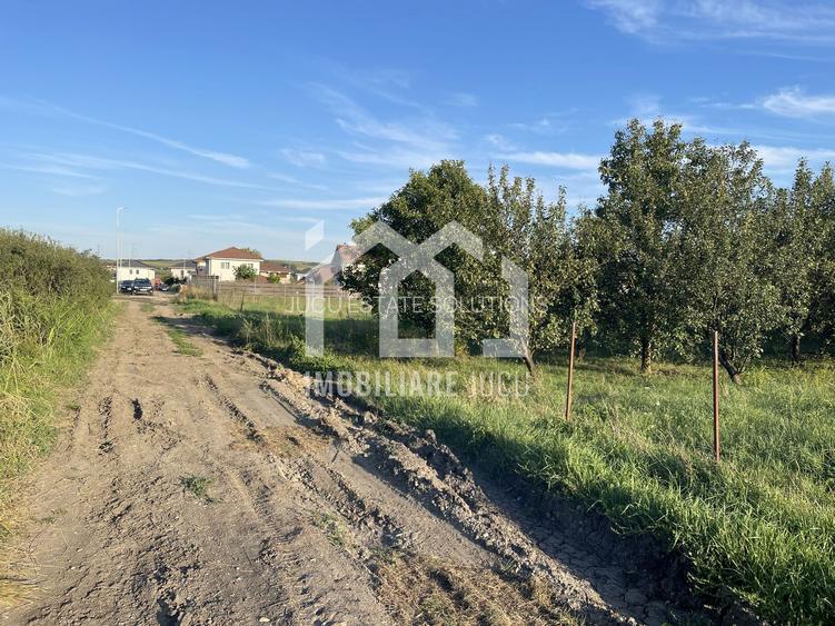 Teren 1450mp, front 16 ml, locatie ideala pt. casa  - Jucu de Mijloc - 3