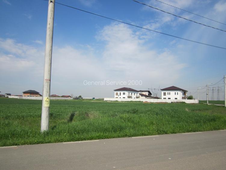 Domnesti-Narciselor - 15