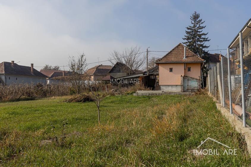 Casă spațioasă cu potențial de renovare și personalizare, în Viișoara - 16