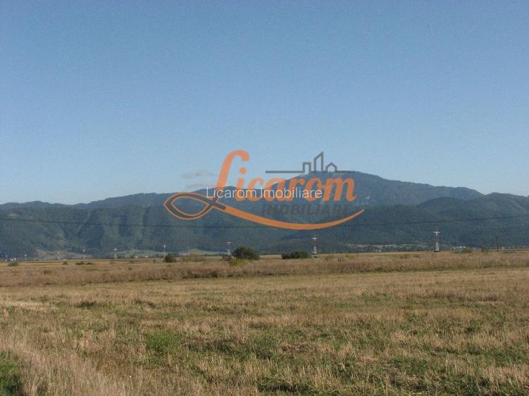 Codlea teren constructii industriale sau logistice 8 ha pana la 24 Ha - 13