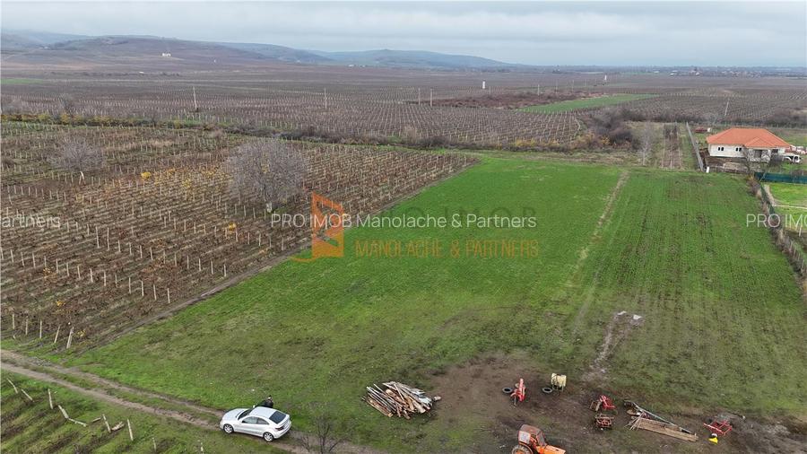 EXCLUSIVITATE! Teren intravilan in Merei Buzau - 2