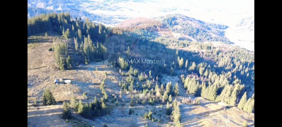 Teren 31,461mp Panaci / Prelungirea Ialovita - 5