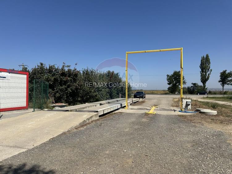 Ferma porcine la cheie - 28