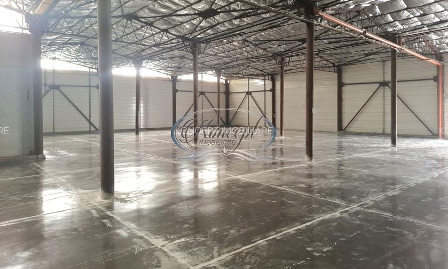 Hala ideala pentru productie sau logistica, pe Calea Baciului - 3