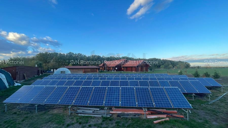 REV2003243 Monument al Naturii in ILFOV Gradistea - 6