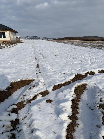 Teren 2250 mp , la intrarea in Filiasi - 3