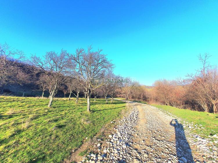 Teren 1.648 mp de vânzare – Cisnădioara, Sibiu - 5