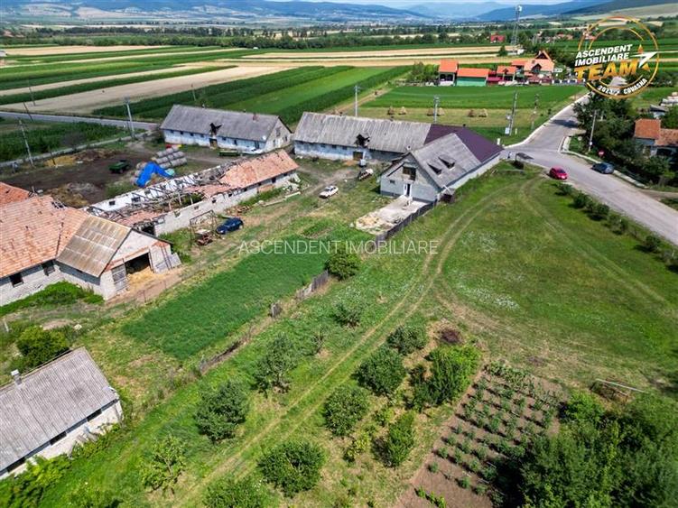 FILM! Rezidential/ Spatiu comercial consacrat + teren intravilan, Fotos, Covasna - 3