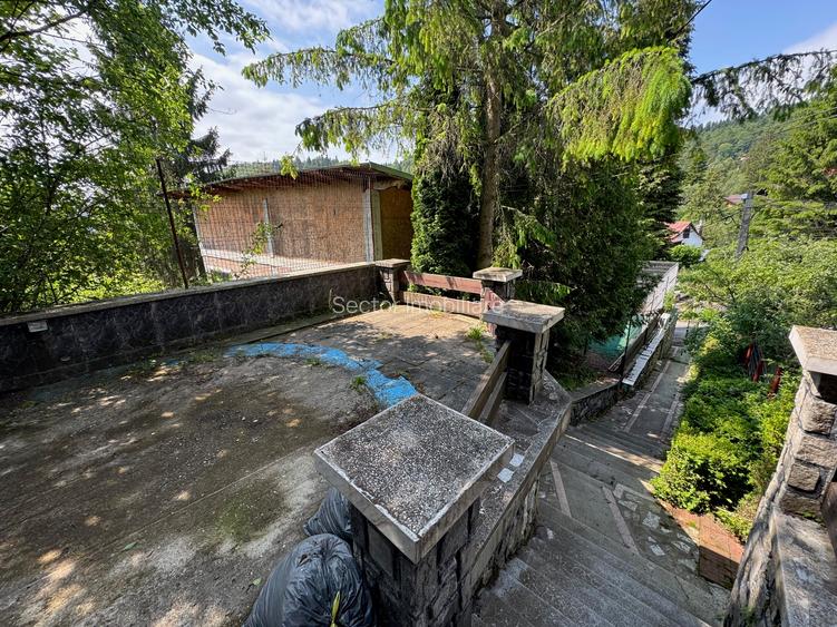 Sinaia Strada Cerbului - 5