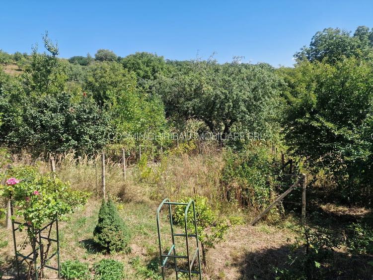 Casa in mediu rural cu teren - 23