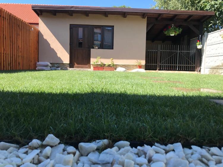 Casa de vanzare - Dumbravita - 13