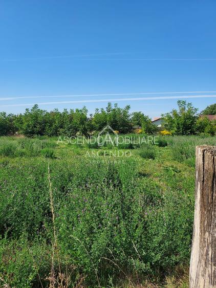 Vanzare teren intravilan 867 mp, Cartierul Stupini, Brașov - 3