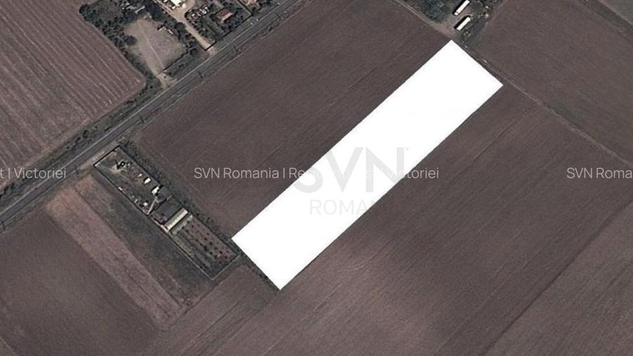 REL4001297 Teren Intravilan - Dascalu - Gagu - 4