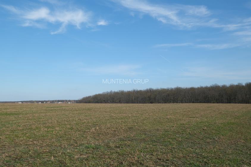 GANEASA, langa lac, padure si vile, 1075 mp. teren construibil - 8