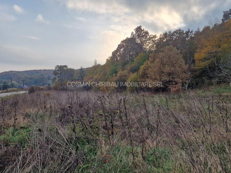 Teren 1,717mp Margineni / Strada Sat podis - 6