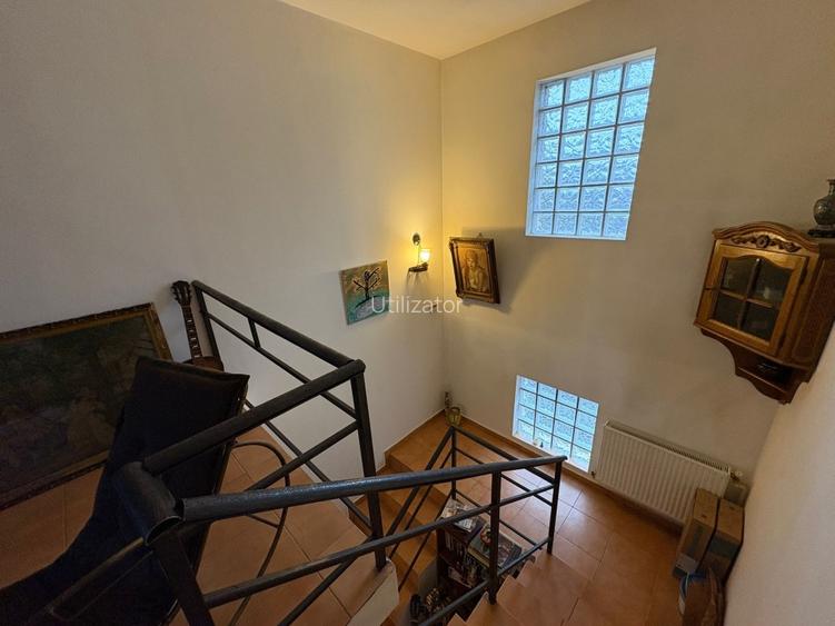 Casa individuală, Pantelimon 2008, zona centrală  - 4