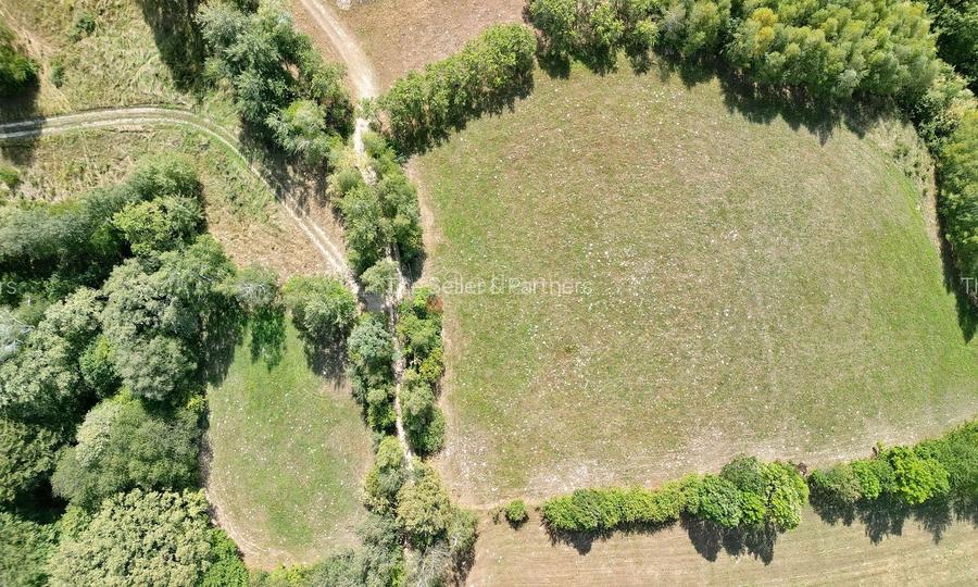 Teren intravilan, priveliste deosebita - 14